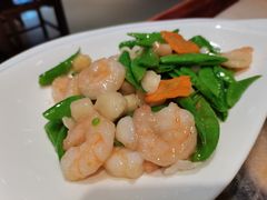 清炒贝仁-都一处 (方庄店)