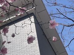 -北京航空航天大学-图书馆