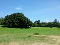 android_upload_pic-鹅銮鼻公园