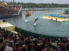 -秦皇岛乐岛海洋王国