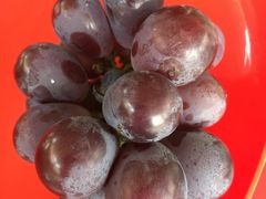 -马陆小张葡萄园农家乐