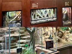 -帕帕拉兹宠物(亚洲旗舰店)