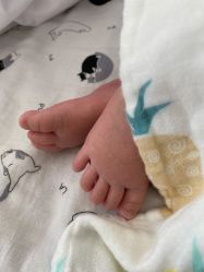 -大美母婴月子专护中心(紫峰店)