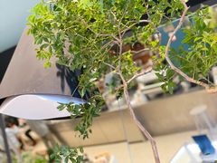 -Seesaw Coffee(深圳万象天地店)