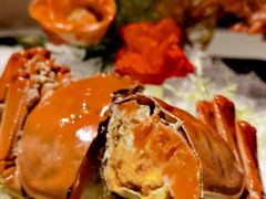 -三号黄浦会Canton Table