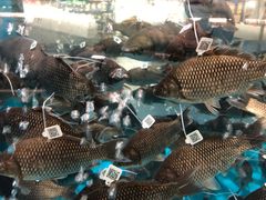 -麦德龙(郑东店)