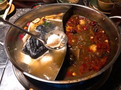-养心殿台式养生锅(铜锣湾店)