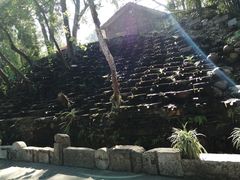 -美丽南方·老木棉匠园·团建烧烤·烤全羊