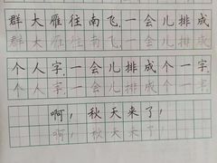 -赵汝飞练字(南京路国际贸易中心校区)