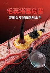 -Bollins波林丝•专研护发中心