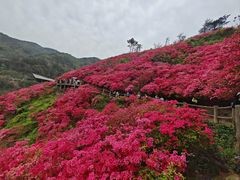 -木兰云雾山