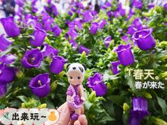 -深圳市中科院仙湖植物园