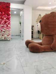 -星座SALON奢华造型