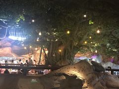 -杭州开元森泊度假乐园