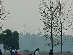 -汉长安城未央宫国家考古遗址公园