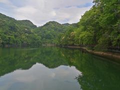 -江西阳明山国家森林公园