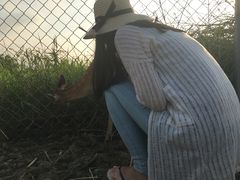 -鹿境梅花鹿生态园区