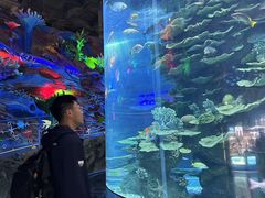 -泉城欧乐堡海洋极地世界