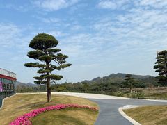 -香山湖公园