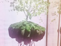 -蜀国演义(黄寺大街店)