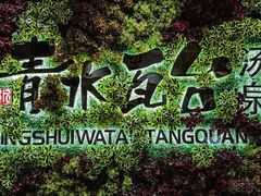 -青水瓦台汤泉(新华店)