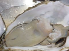 -蚝堡海鲜·威海菜·海肠捞饭·烧烤·亚洲吃蚝公司(幸福门店)
