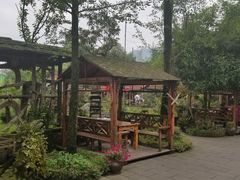 -青城甲(青城山店)