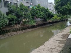 -黄埔古港