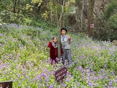 -南通濠河风景名胜区