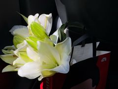 -COSTA COFFEE(西湖天地店)