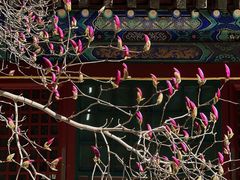 -潭柘寺景区