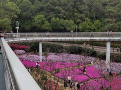 -狐尾山公园