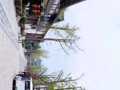 -青城山