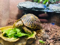 -上海海洋水族馆