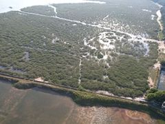 -北海金海湾红树林生态旅游区