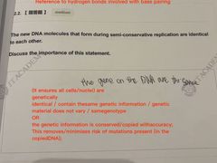 -JT PREP国际学科课程·IB·AP·Alevel(陆家嘴校区)