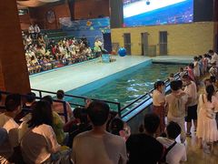 -洛阳龙门海洋馆