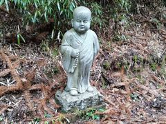 -武陵山森林公园