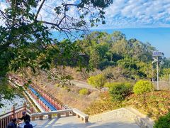 -黄埔油麻山森林公园