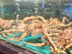 -潮粤香海鲜酒楼(沙湖店)