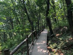 -北京上方山国家森林公园