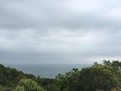 -广东惠东海龟国家级自然保护区