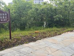 -安庆师范大学(龙山校区)