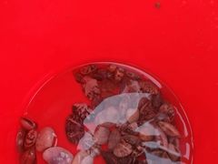 -天津东疆湾沙滩景区