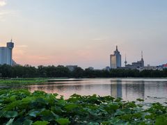 -莲花池公园