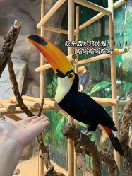 -Zoolung Zoolung动物主题公园(海信广场店)