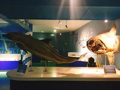 -烟台海昌鲸鲨海洋公园