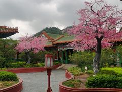 -珠海圆明新园