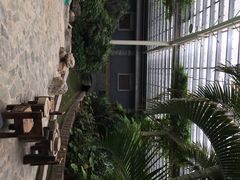 iphone_upload_pic-龙达温泉生态城
