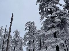 -瓦屋山景区